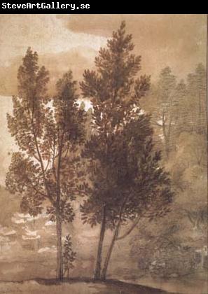 Claude Lorrain Trees (mk17)